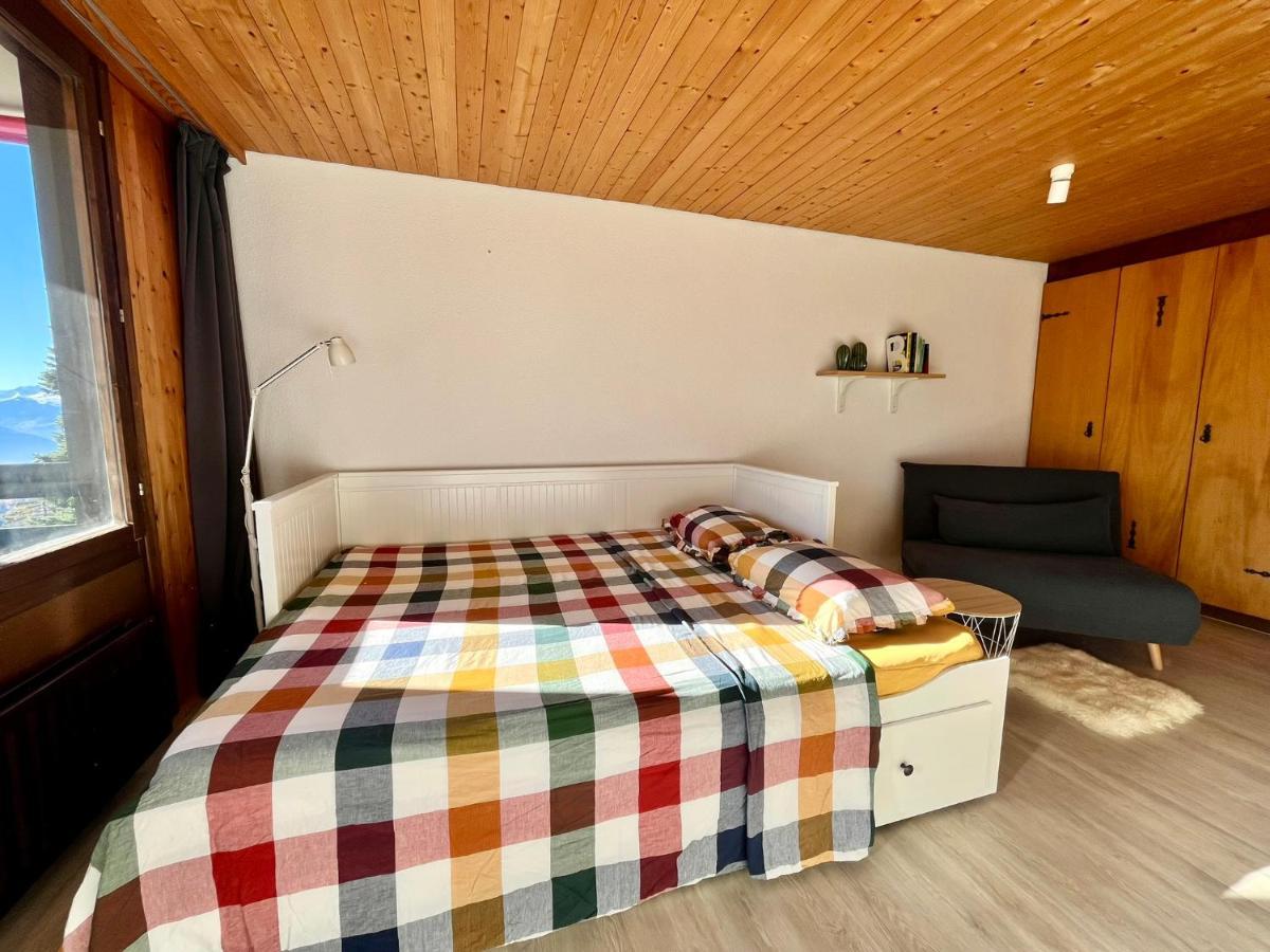 Appartement The Alpine Proche Du Frience, Chiens Admis, Parking Prive Gryon