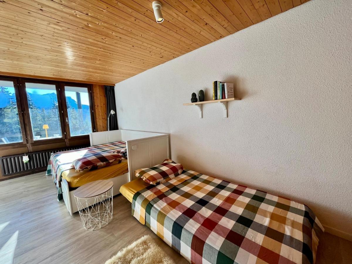 The Alpine Proche Du Frience, Chiens Admis, Parking Prive Appartement *