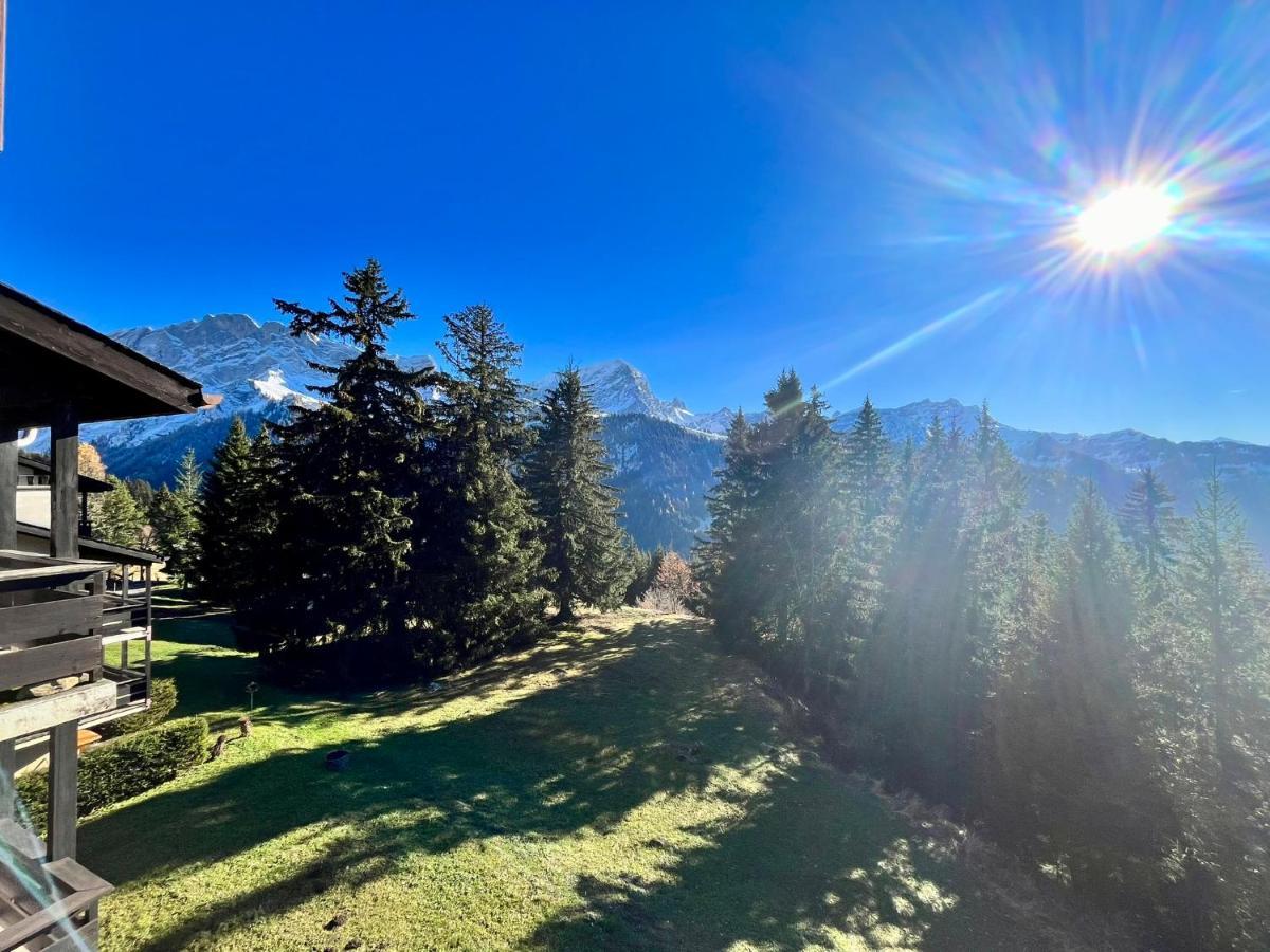 The Alpine Proche Du Frience, Chiens Admis, Parking Prive