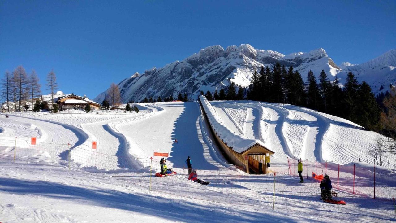 Appartement The Alpine Proche Du Frience, Chiens Admis, Parking Prive