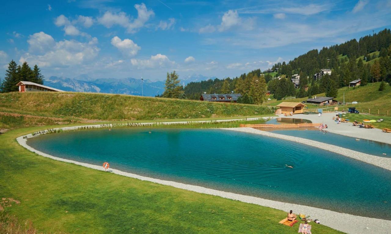 The Alpine Proche Du Frience, Chiens Admis, Parking Prive * Gryon