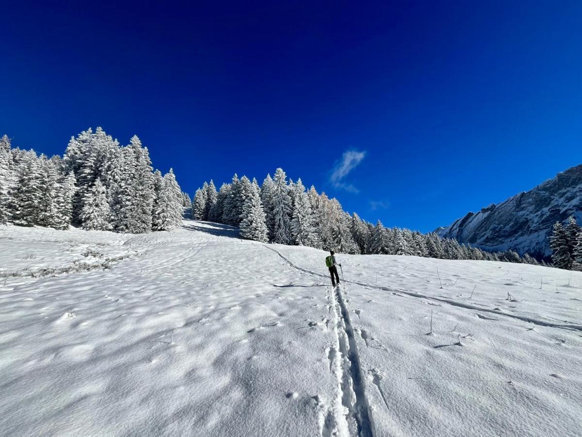 The Alpine Proche Du Frience, Chiens Admis, Parking Prive Gryon