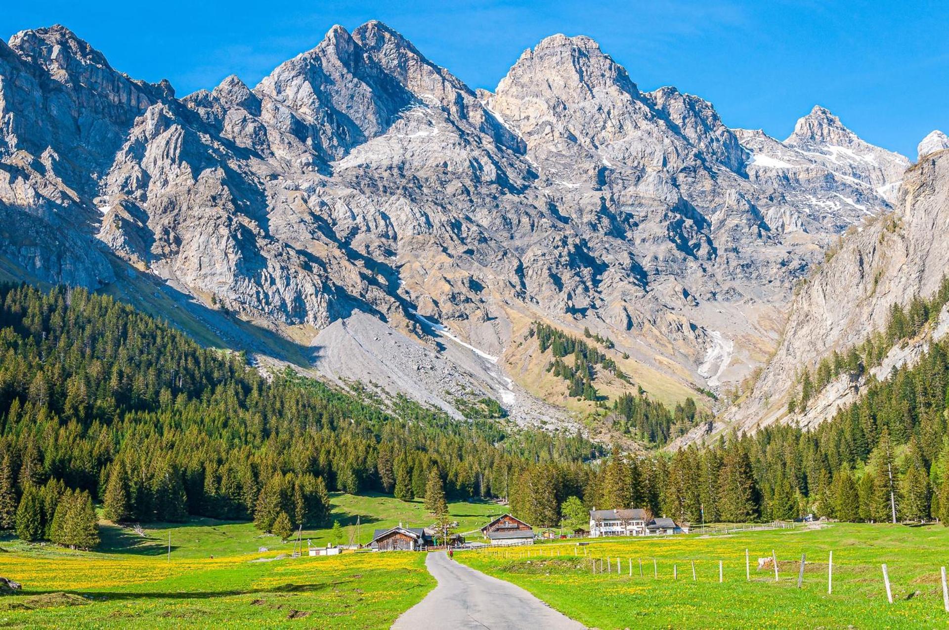 Appartement The Alpine Proche Du Frience, Chiens Admis, Parking Prive *