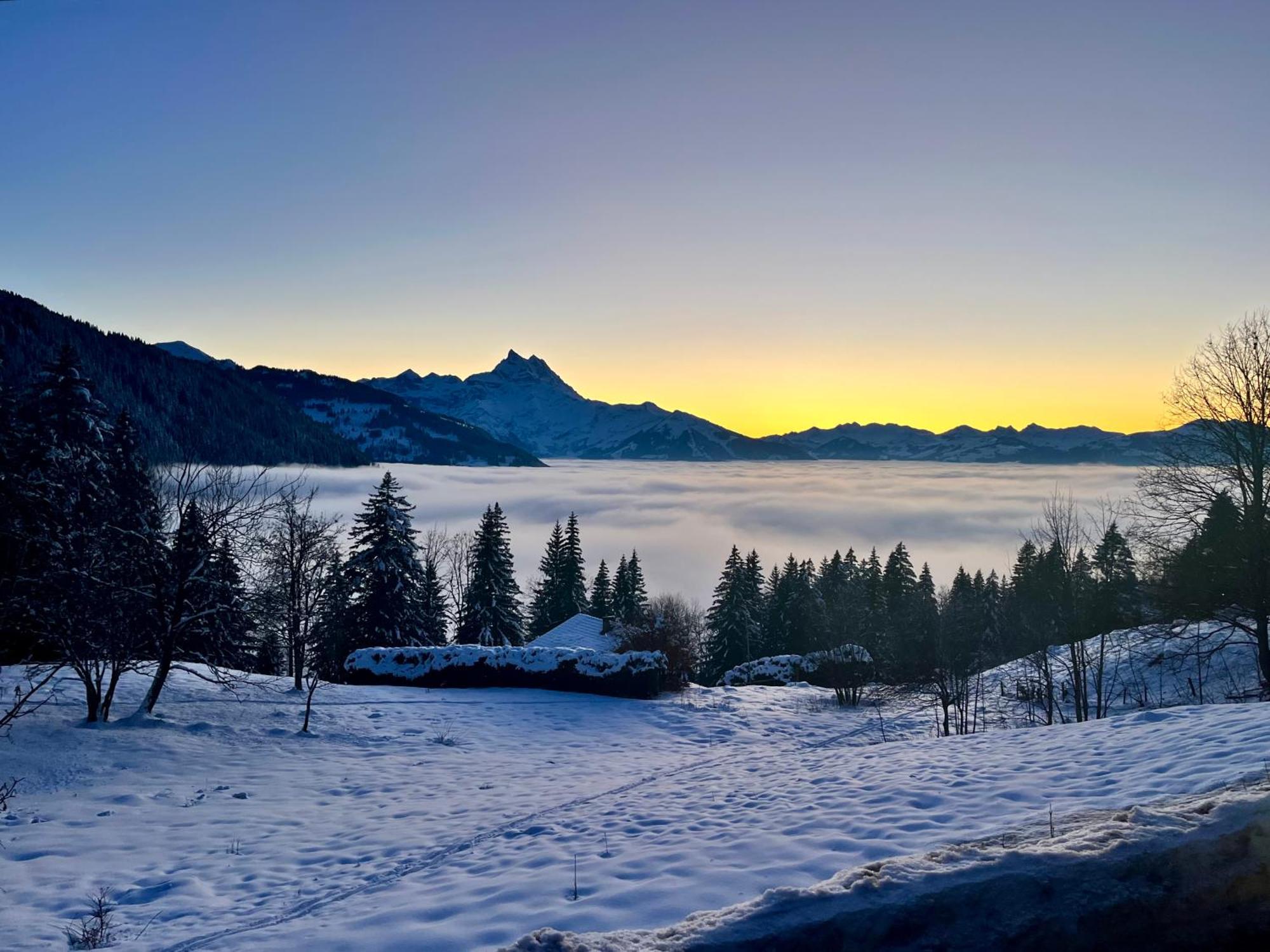The Alpine Proche Du Frience, Chiens Admis, Parking Prive Appartement *