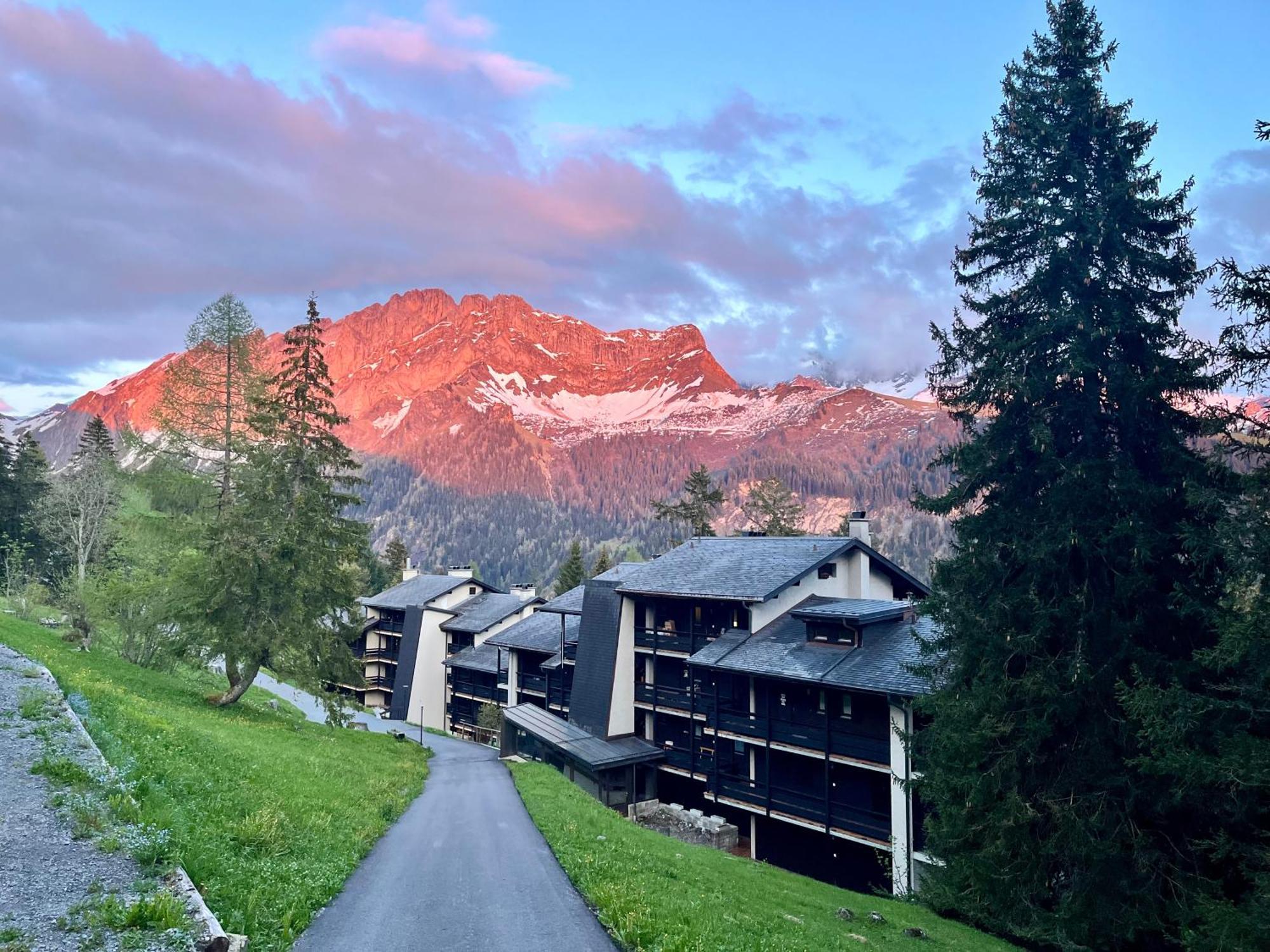 Appartement The Alpine Proche Du Frience, Chiens Admis, Parking Prive *
