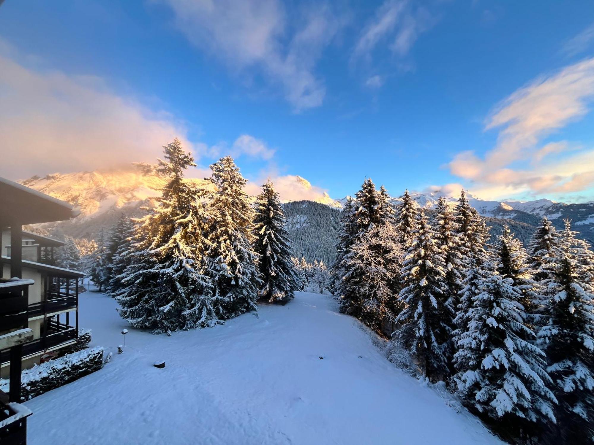 Appartement The Alpine Proche Du Frience, Chiens Admis, Parking Prive