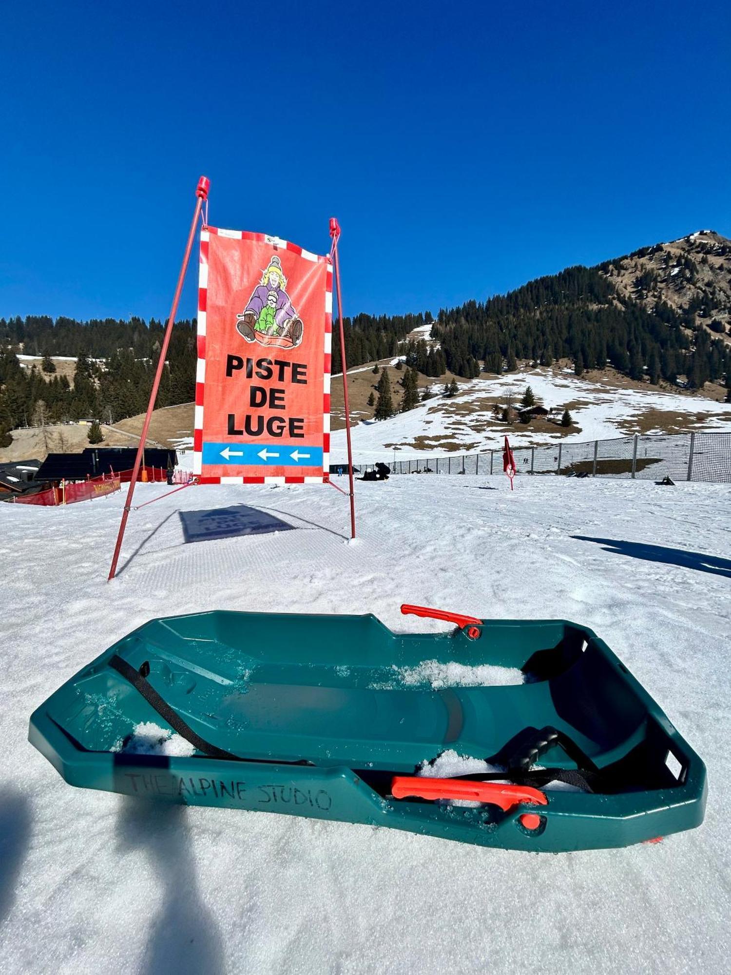 The Alpine Proche Du Frience, Chiens Admis, Parking Prive * Gryon